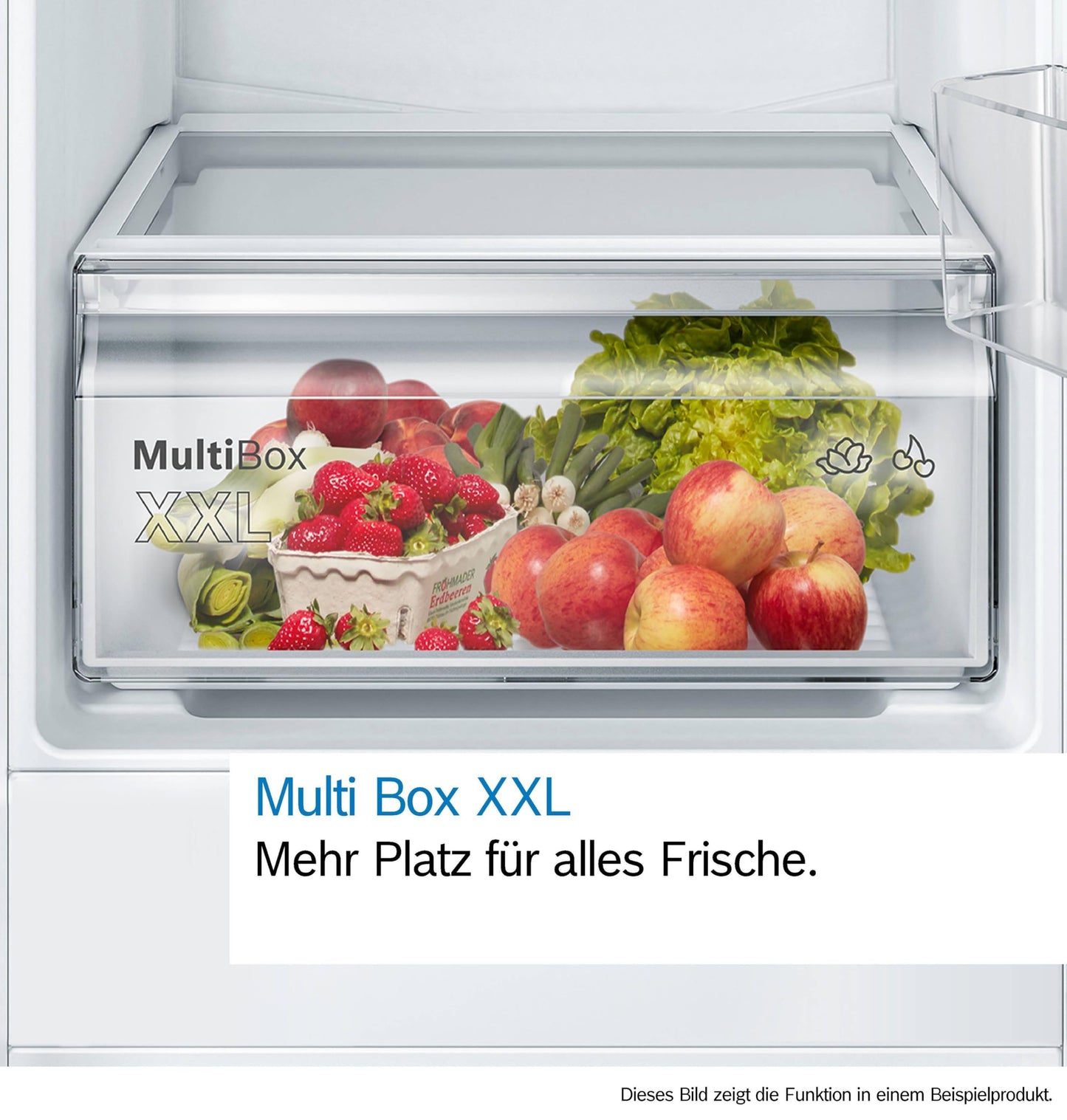 Bosch Einbau Kühlschrank 204L – 122.5cm, Weiß